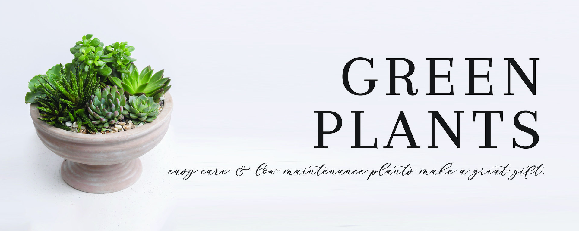 Green Plants
