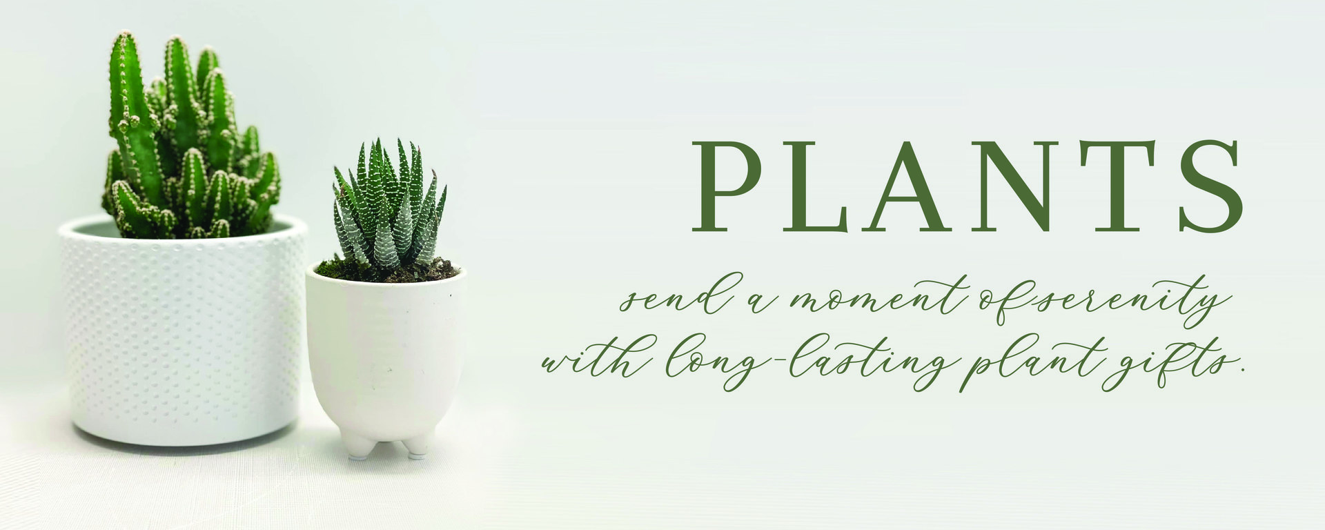 Plants