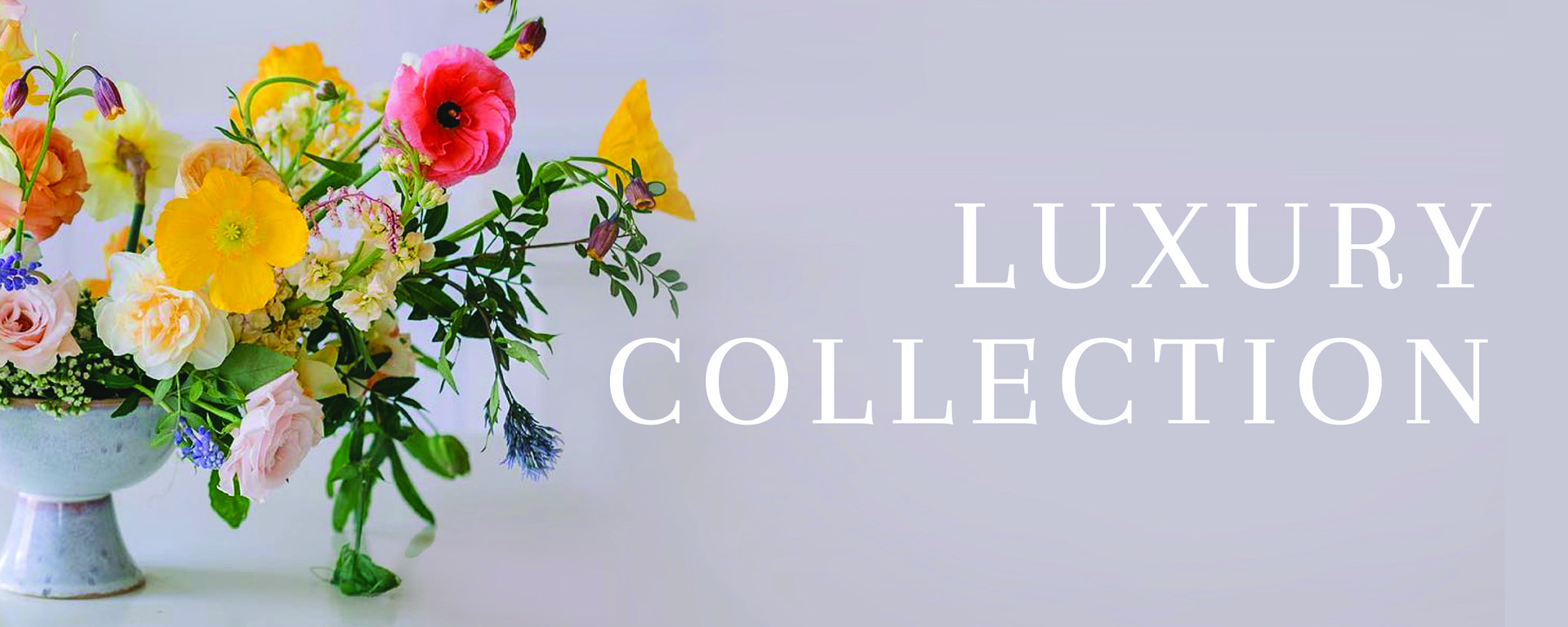Luxury Collection