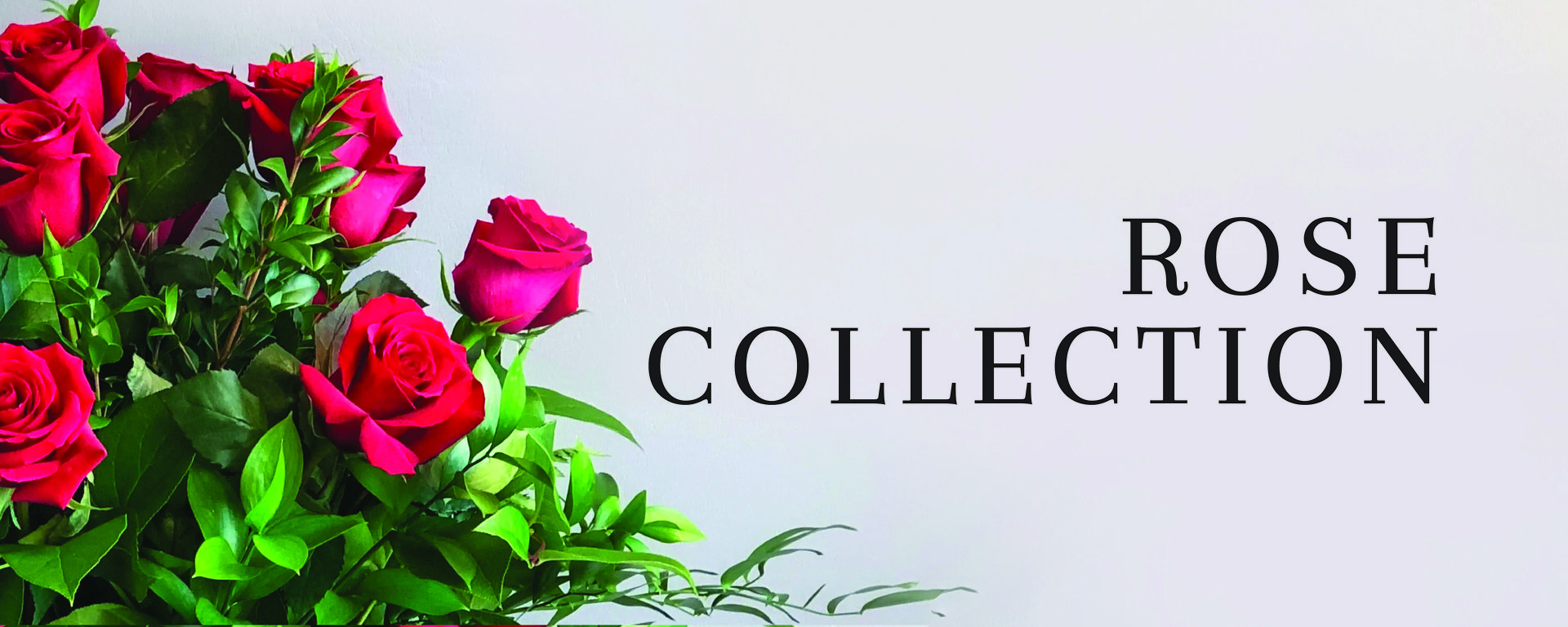 Rose Collection