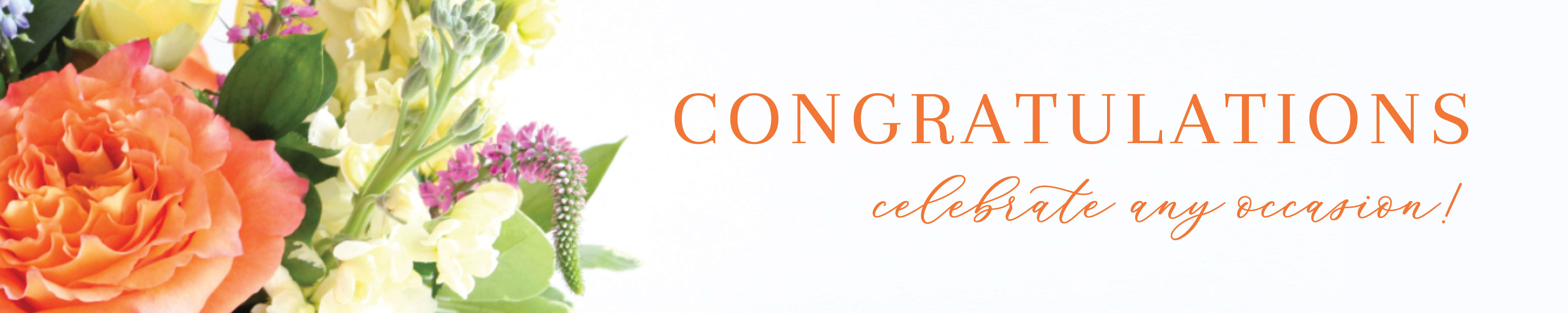 Same Day Congratulations Flower Delivery Plymouth Flair Floral