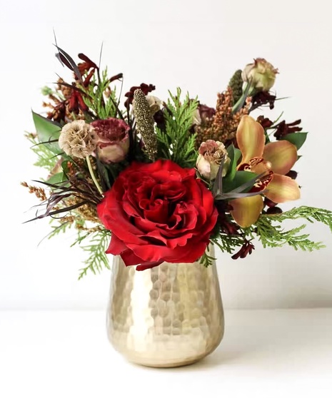 All Too Well - Seasonal Collection