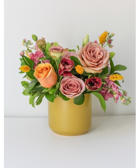 The Alchemy - Seasonal Collection