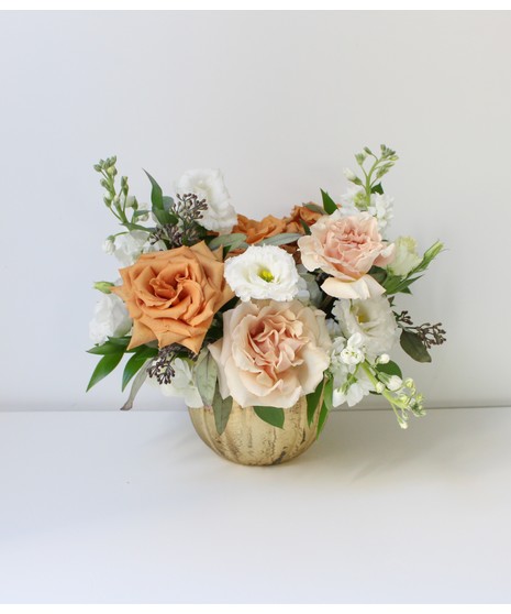 The Albatross - Seasonal Collection