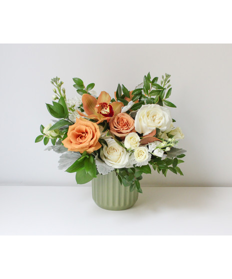 The Prophecy - Seasonal Collection