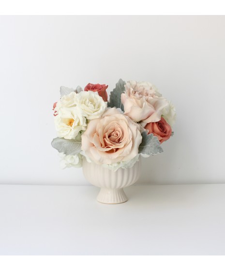 Dorothea - Seasonal Collection