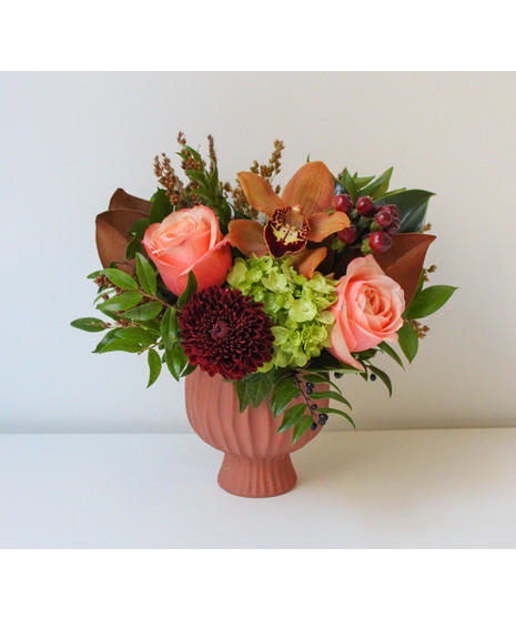 The Shiny Bug - Seasonal Collection