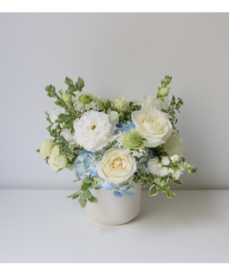 Blank Space -  Signature Collection