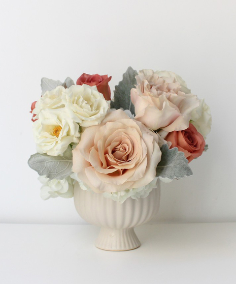 Dorothea - Seasonal Collection